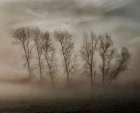 How nature hides the wrinkles of her antiquity under morning fog and dew Art Print