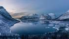 Polar Night Art Print