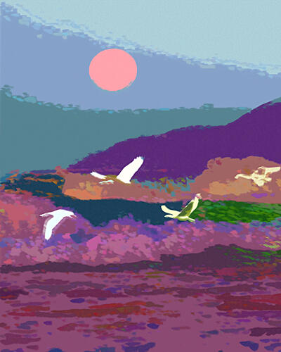 Vibrant Sunset Flying Birds Art Print