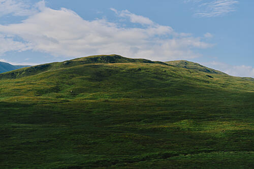 Rolling Green Hills Art Print