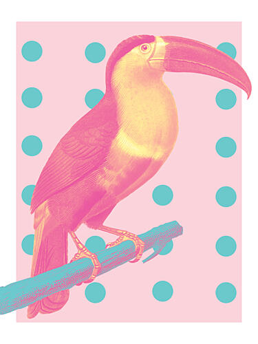 Pink Pop Toucan Art Print