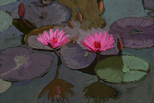 Pink Water Lilies Art Print