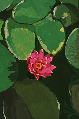 Vibrant Pink Water Lily Art Print