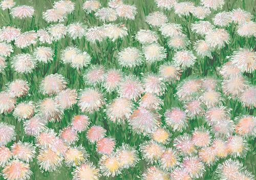 Fluffy Dandelion Field Art Print