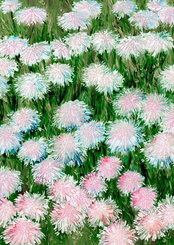 Pink and White Blooms Art Print