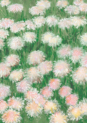 Soft Pink Dandelions Art Print