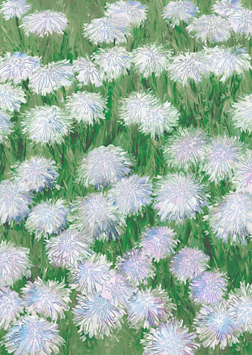 Fluffy White Flowers Art Print