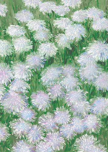 White Flowers Green Field Art Print