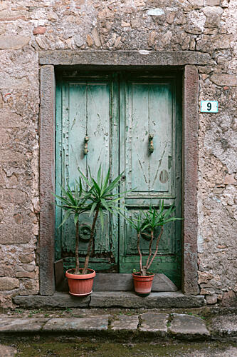 Old Green Door Plants Art Print by HelloHappylife