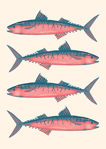 Vibrant Mackerel Pattern Art Print