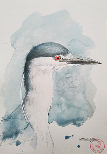 Watercolor Night Heron Art Print by Hongtao Huang