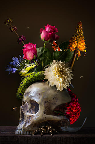 Skull Snake Floral Still Life Art Print