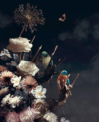 Mysterious Garden Birds Art Print