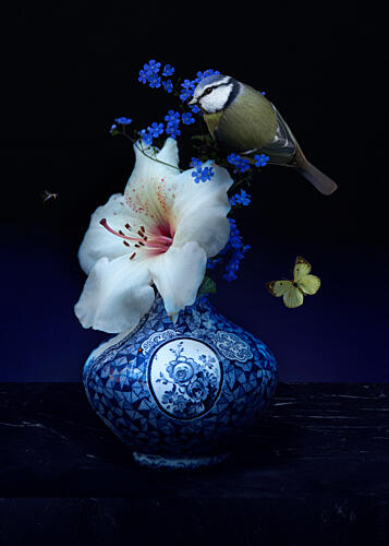 Blue Tit Floral Still Life Art Print