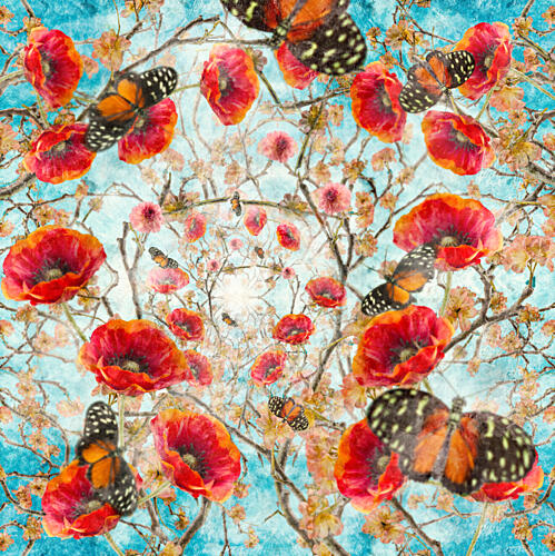Dreamy Poppy Butterflies Art Print
