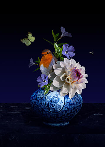 Robin and Blue Vase Art Print