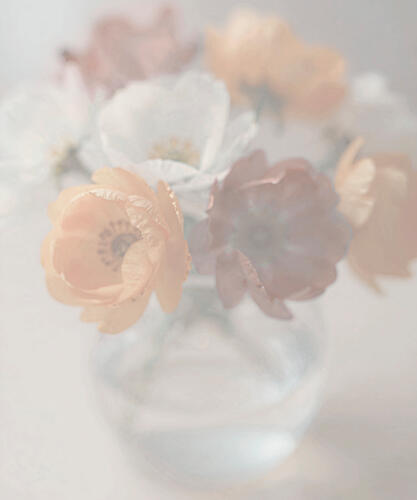 Soft Pastel Blooms Art Print