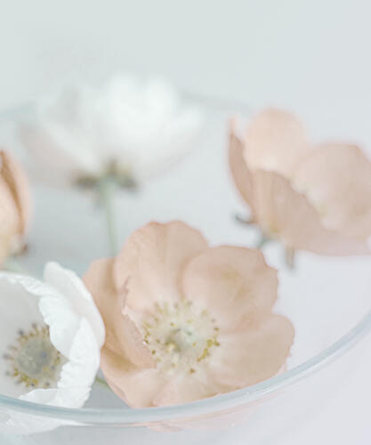 Soft Pastel Blooms Art Print