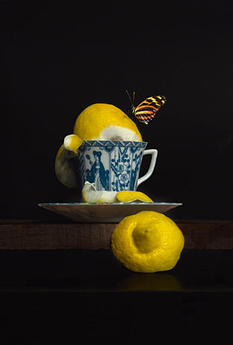 Lemon Butterfly Teacup Art Print