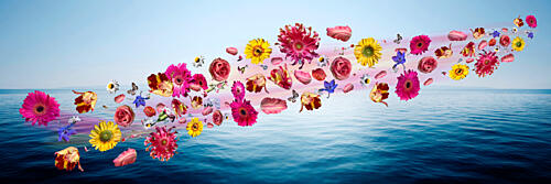 Floating Ocean Flowers Art Print