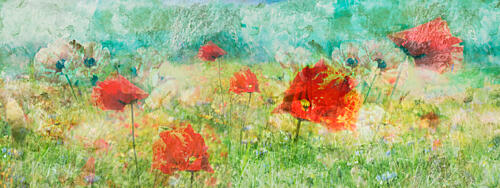 Panorama Klaprozenveld Art Print