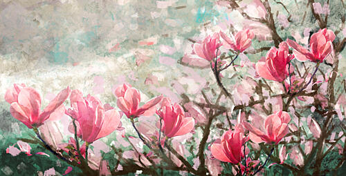 Dreamy Pink Magnolias Art Print
