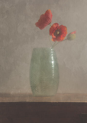 Tranquil Poppy Vase Art Print