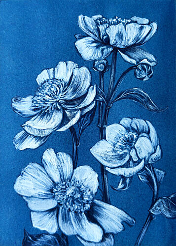 Blue Botanical Blooms Art Print