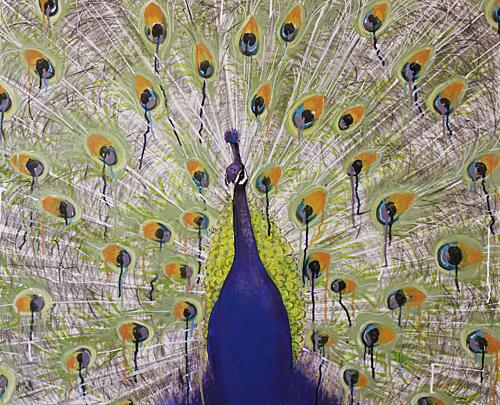 Majestic Peacock Display Art Print
