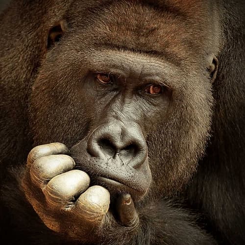 Sense Of Life ... Art Print