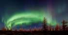 Northern lights Art Print