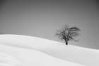 Loneliness Art Print