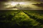 Journey To The Fierce Storm Art Print