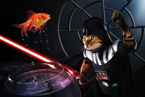 Darth Sushi Art Print by Christophe Kiciak