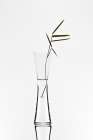 Bamboo Art Print