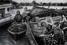 Harvest Transaction Art Print