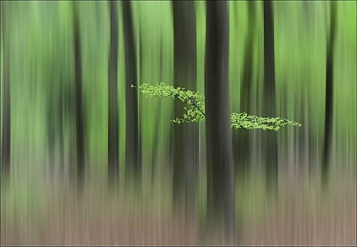 Spring Morning Art Print
