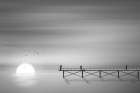 melody of twilight Coastal Print