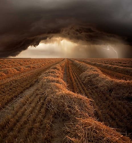Untitled Art Print by Franz Schumacher