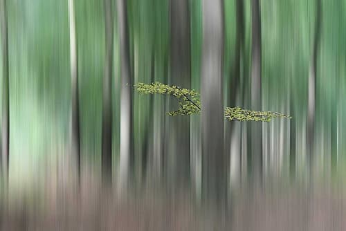 Summermorning Art Print