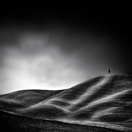 La Vie Reprendra Au Printemps Art Print by Piet Flour