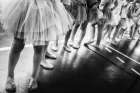 Ballerina - by Mexia, Laura | 1x - Pictufy | Mexia, Laura