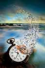 The Vanishing Time Art Print