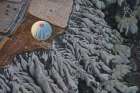 Balloon (2) Art Print
