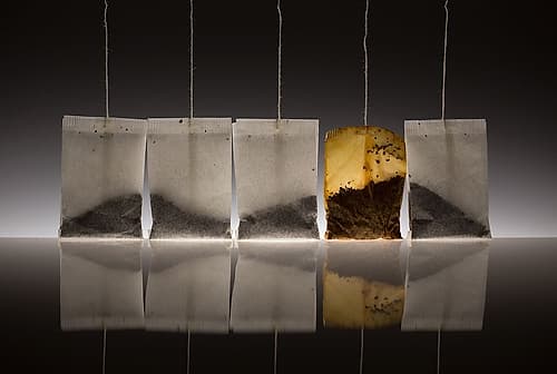 Teascape Food Print