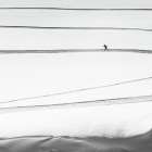 solitary . . Art Print