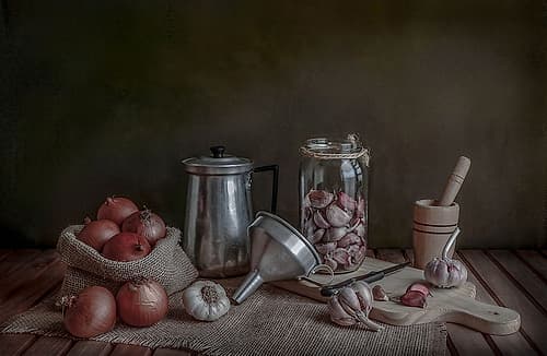 Morning Light Art Print
