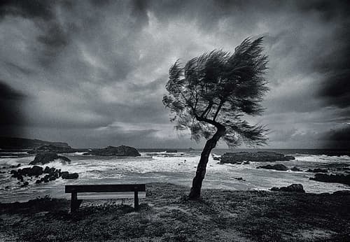 Today No One Art Print by Mikel Lastra