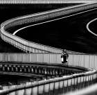 Marathoner. Art Print by Anna Niemiec