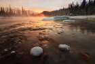 Misty Winter Morning Art Print